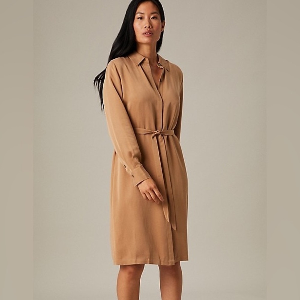Hudson North Belted Shirt Dress in Dark Camel Size Small Cotton & Model Neutral